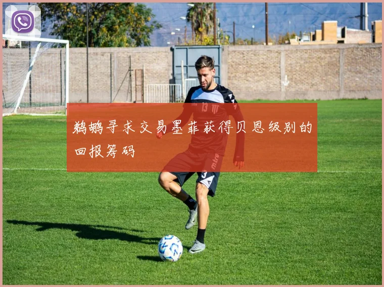 鹈鹕寻求交易墨菲获得贝恩级别的回报筹码