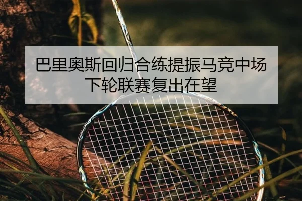 巴里奥斯回归合练提振马竞中场 下轮联赛复出在望 | leyu